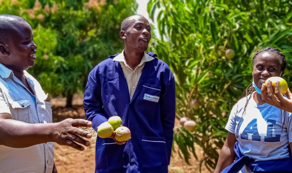 Sokofresh How SokoFresh Impacts Kenyan Smallholder Farmers- 60 Decibels