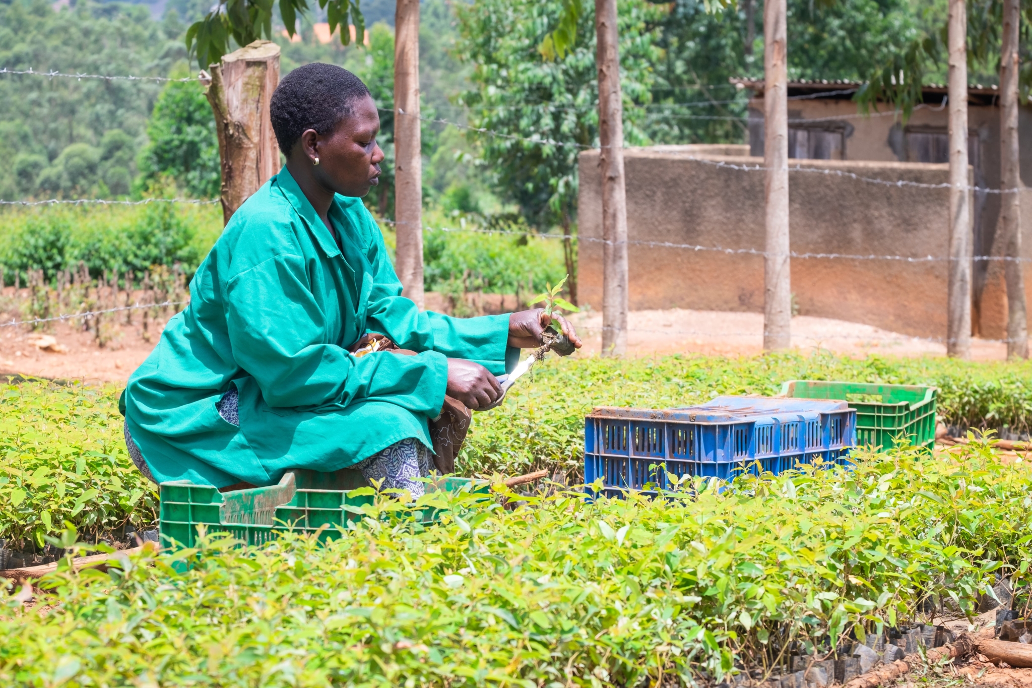 aceli-africa-closing-the-agri-sme-financing-gap-with-multi-stakeholder